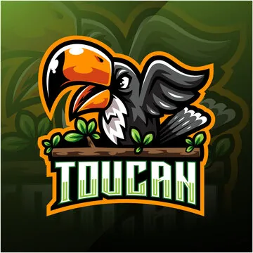 Team D Logo